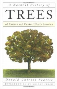 natural history of trees