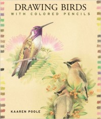 drawing birds with colored pencils