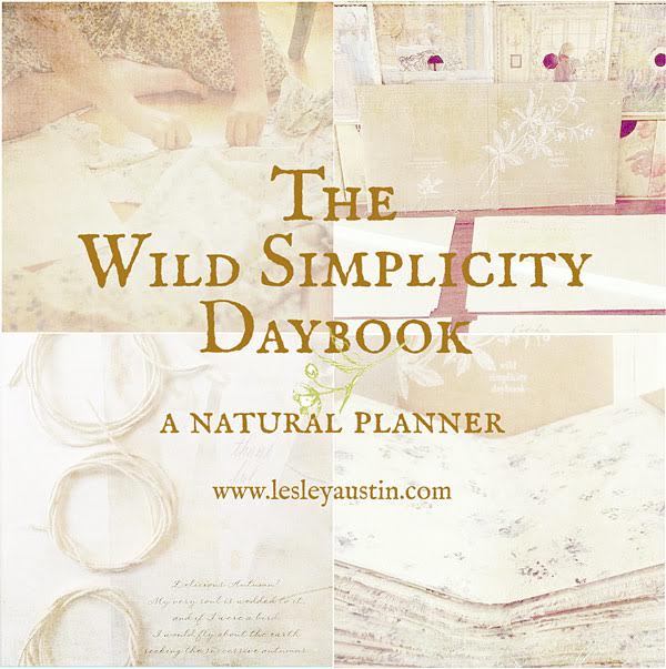 wild simplicity daybook by small meadow press