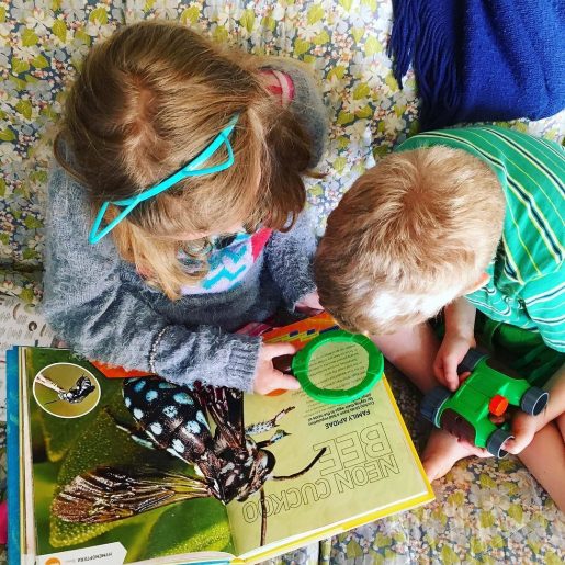 Rilla and Huck and a bug book