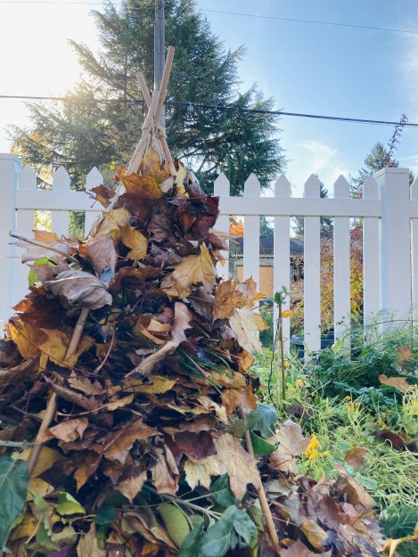 a tripod of bamboo poles filled with layers of branches, fallen leaves, grass clippings, and flower stems in front of a white picket fence and blue sky.