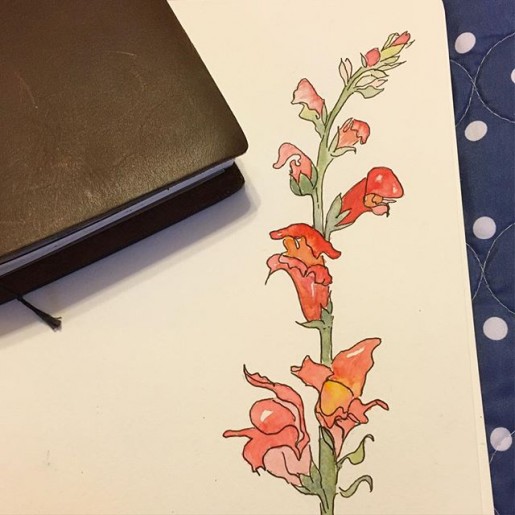 watercolor snapdragons