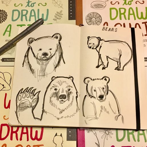 sketchbook bears