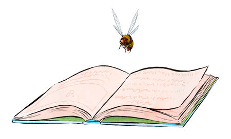 drawing of a bee hovering over the open pages of a book