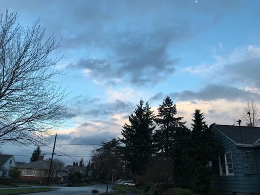 dark pines below a blue, cloud-lit sky